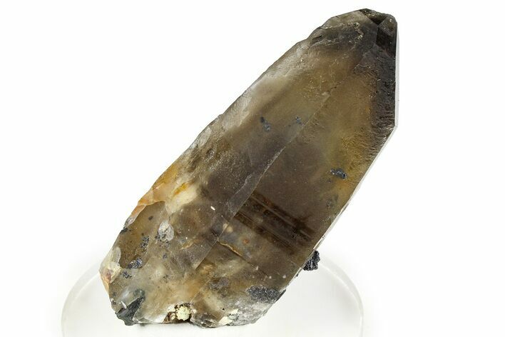 Rutilated Smoky Quartz Crystal - Malawi #373599